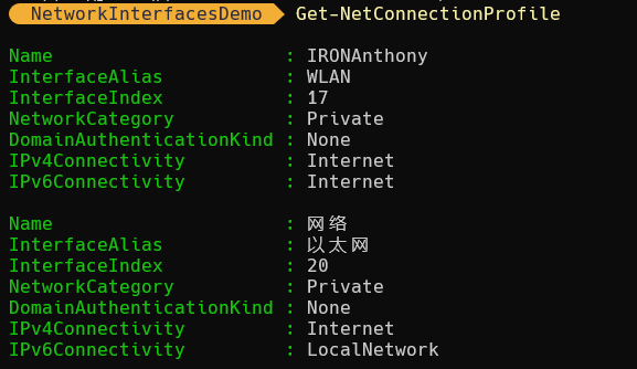 图4 PowerShell获取Network Profile信息